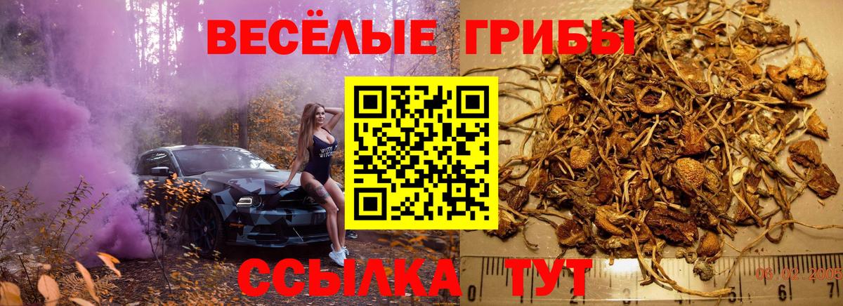 Псилоцибиновые грибы Magic Shrooms Верхняя Салда